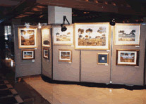 Exhibition Boths